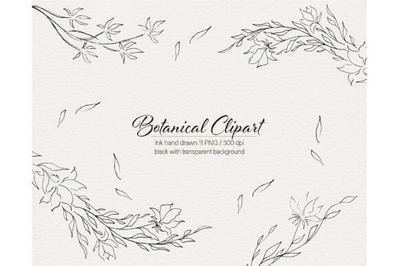 Download Modern Flowers Botanical Hand Drawn - Flowers Collection