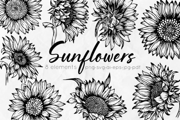 Download Sunflowers Line Art Illustrations - Flowers Collection