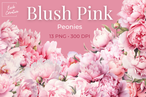 Download Blush Pink Peonies Watercolor Flowers - Flowers Collection