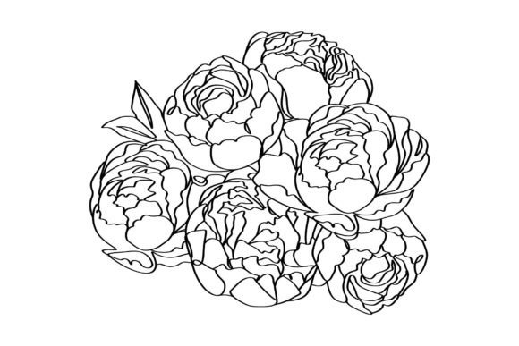 Download Bouquet of Peony Flowers Elegance Linear - Flowers Collection