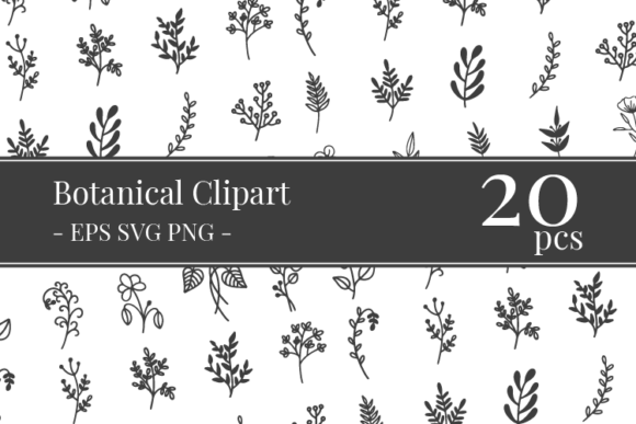 Download Botanical Clipart Bundle - Botanical Collection